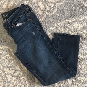 American Eagle Artist Crop Jeans